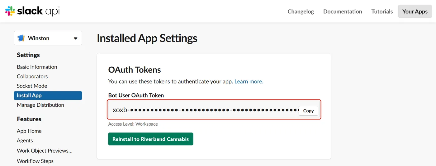 The Installed App Settings page showing the Bot User OAuth Token field and its Copy button, with the token hidden
