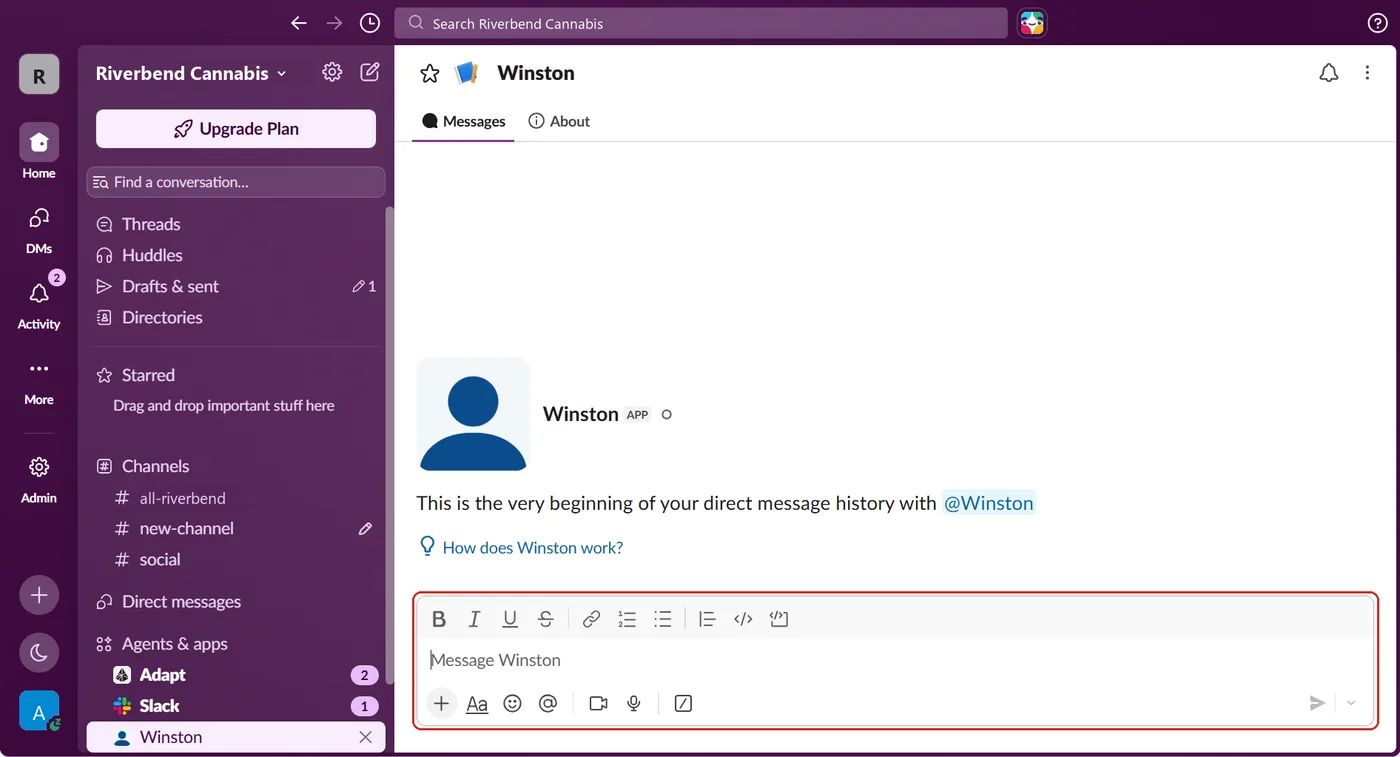 A new direct message with the Winston app in Slack